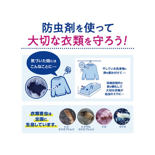 ~ZXChN[[bgp@R~T