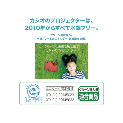 プロジェクター FORESIGHT VIEW