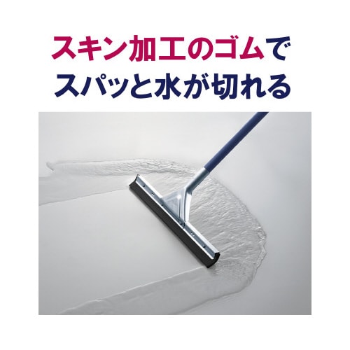 Rh@hCCp[XyAiʁjSTp