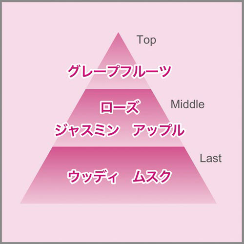 L̓vO@zCgt[@tց~S