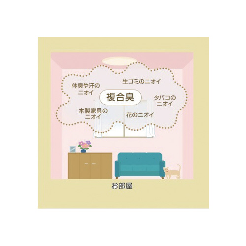 ̏Ĺ@ybgpt[eB[K[f~R