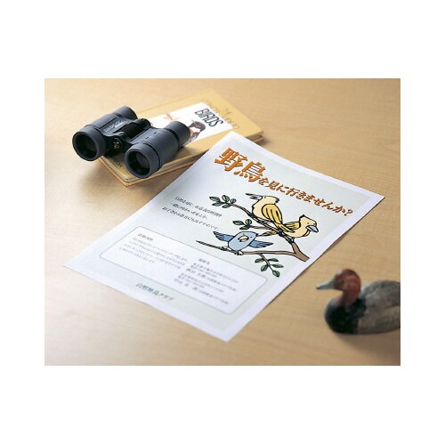 カラーレーザー&コピー用紙 光沢紙