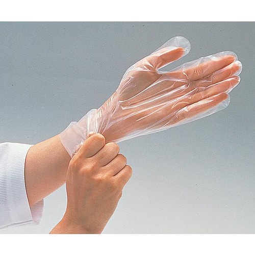 �i�r�t�B�b�g��܁@�o�d�@���G���{�X���H