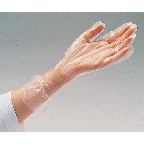 �i�r�t�B�b�g��܁@�o�d�@���G���{�X���H