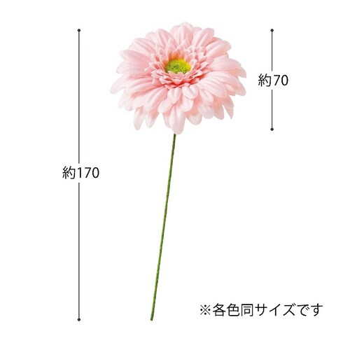 K[xt[|r^xr[sN|PPQ{~Q
