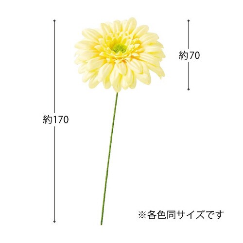 K[xt[r^xr[CG[Q@PQ{~Q