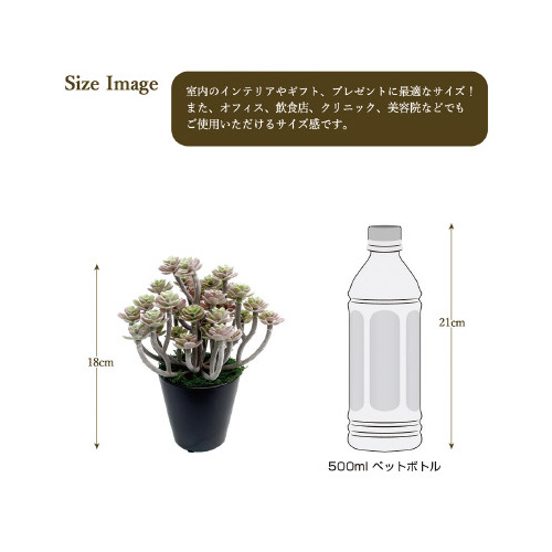 lHϗtAp[vZ_~jTCY
