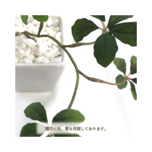 lHϗtAVK[oCvgsrTCY