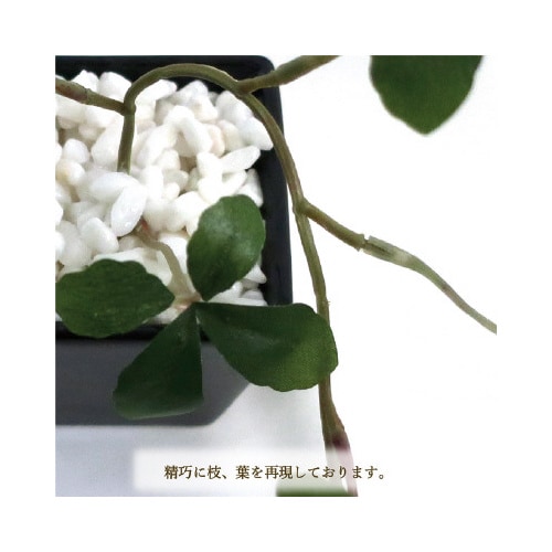 lHϗtAVK[oCakjrTCY