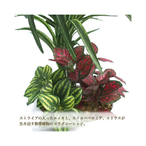 lHϗtAbJArTCY
