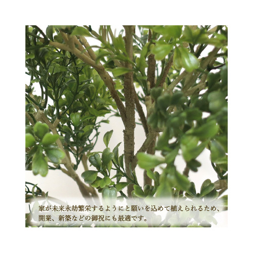 lHϗtA{bNXEbhlTCY