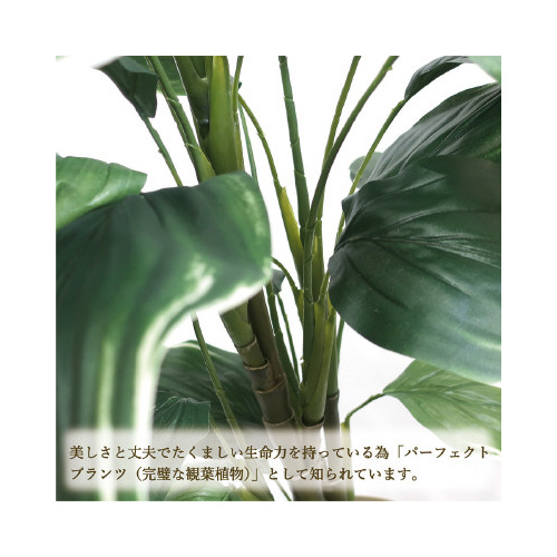 lHϗtAzX^kTCY