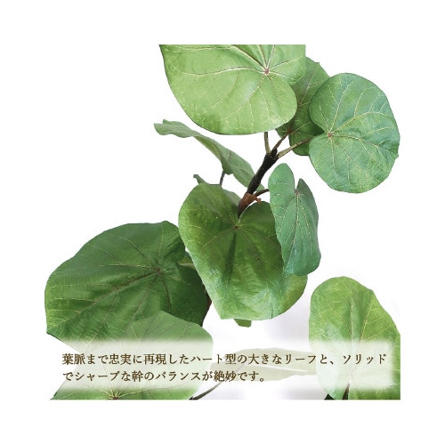 lHϗtAEx[^kTCY