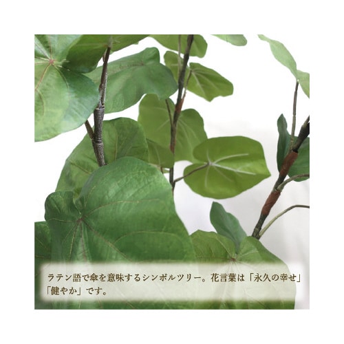 lHϗtAEx[^kTCY