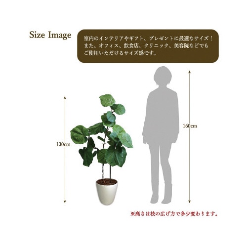 lHϗtAEx[^kTCY