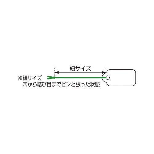 pbND@pێlp^@oqhbd