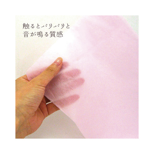 @t@sN@˔