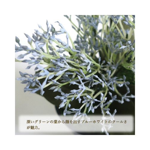 lHϗtAu[XLjA~jTCY