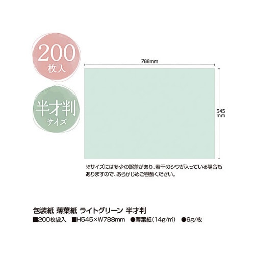 @t@CgO[@˔