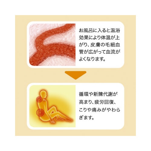 ou@̊k߂藁@PQFSށ~eR