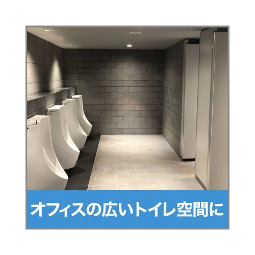 L̓NbVQgCց@PDS~U