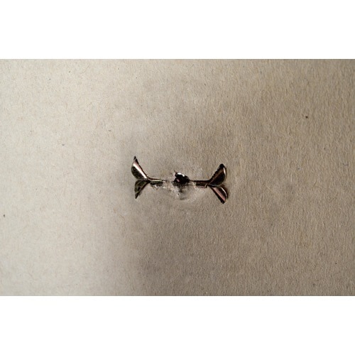 �w�k�t�@�X�i�[�P�O�O��