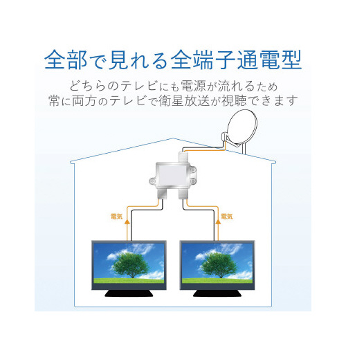 Tz@SjWjΉ@S[qʓd^@p