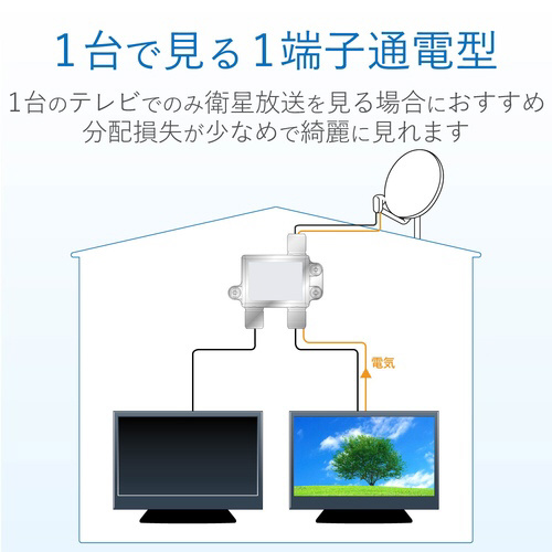 Qz@SjWjΉ@P[qʓd^@p