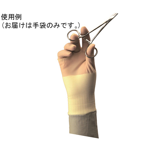 ⍇Spp܁@oh@VDO
