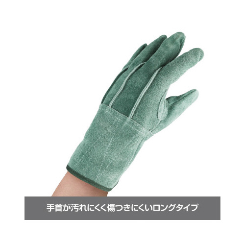 Ǎɏ_ICwDO@@t[TCY
