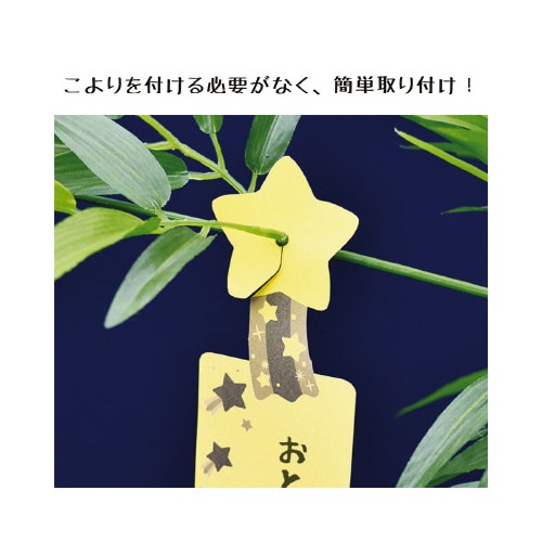 [@^b`Z@@QO