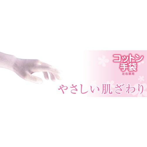 蔧܁@zCg@t[TCY