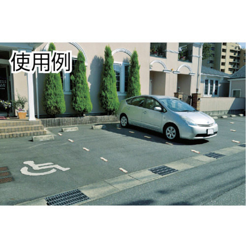 mC}[J[@QOXq