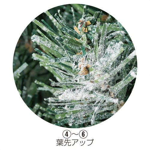 ~jbvc[@Xm[@gXO