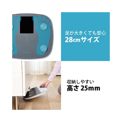 ̏dv@̑gv@ʁ@POOPʁ@O[