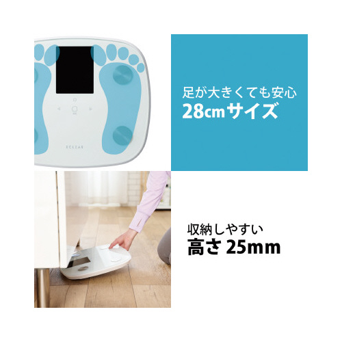 ̏dv@̑gv@ʁ@POOPʁ@zCg