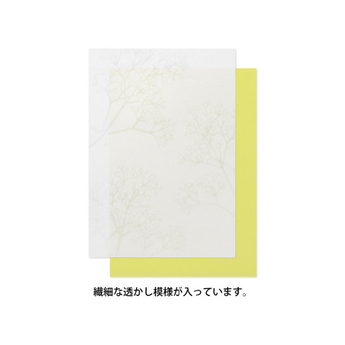 ⳁ`T@@ݑ