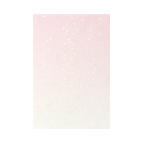 ͂PTW@Ԃ̐oij@sN
