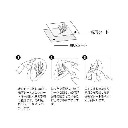 �~�h���@�V�[���@�]��