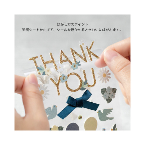 V[QTPU@obl@^Cg@肪Ƃ{