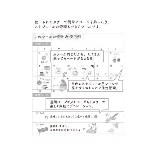 �~�h���@�V�[���@�J���[