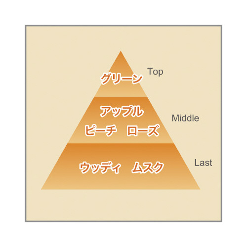 Ĺ@ŃVpbƁ@ybgp@t