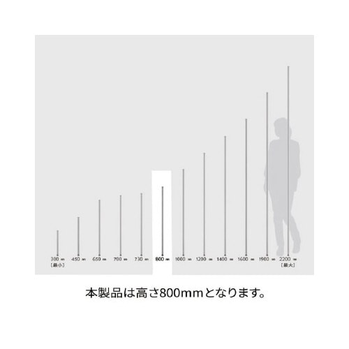 GN^[@x[VbNV[Y@|[@zCg