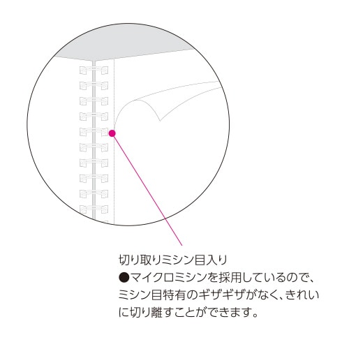 LpXm[g
