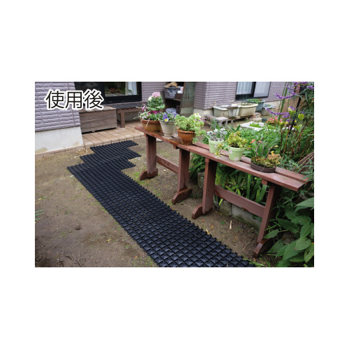 Rh@ɂo[}bgTO~POO