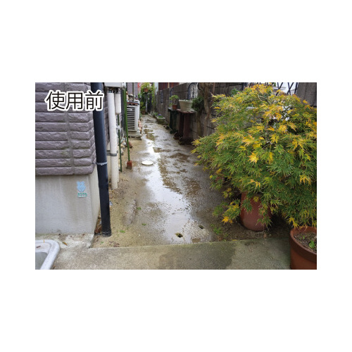 Rh@ɂo[}bgTO~POO