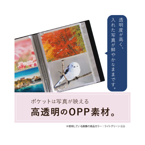 tHgAo@@kQSO@kO[