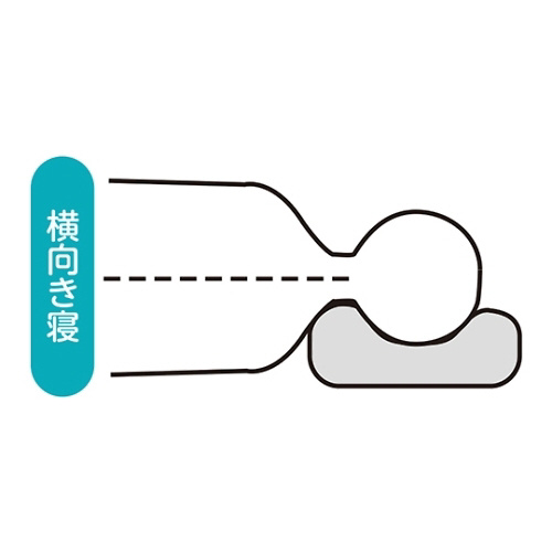 @̐搶E߂閍@uE