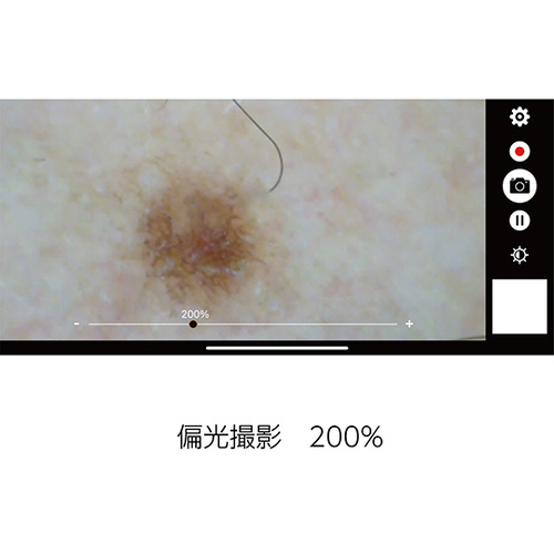 fW^_[}gXR[v