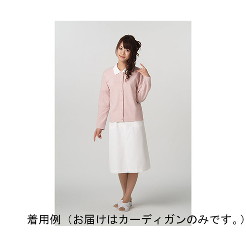 ݃{^J[fBK@R[sN@k